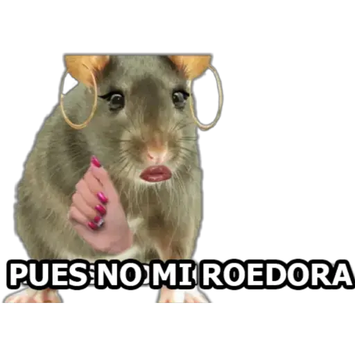 MI CIELA  preview