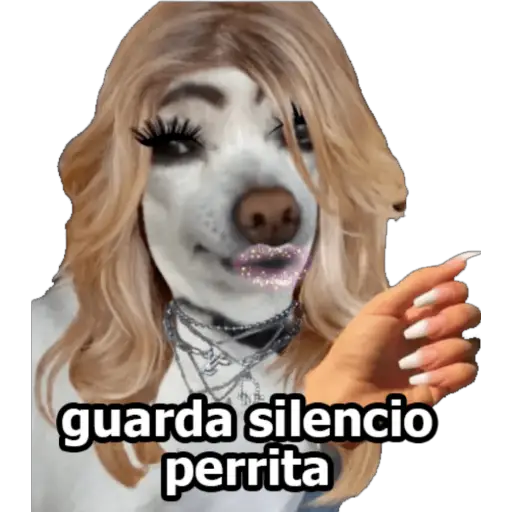 MI CIELA 