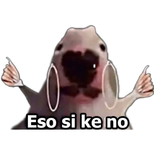 MI CIELA 