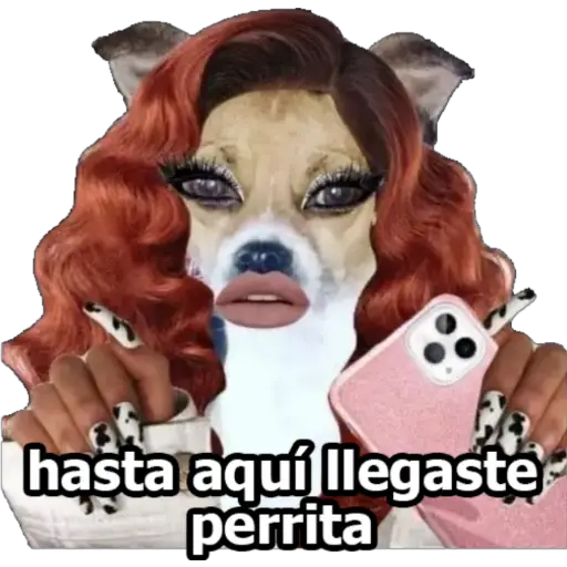 MI CIELA 