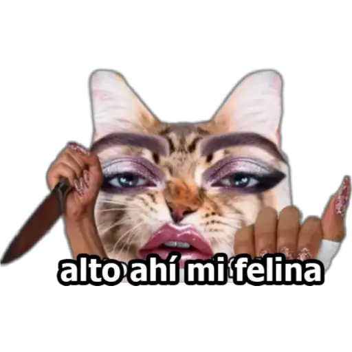 MI CIELA 