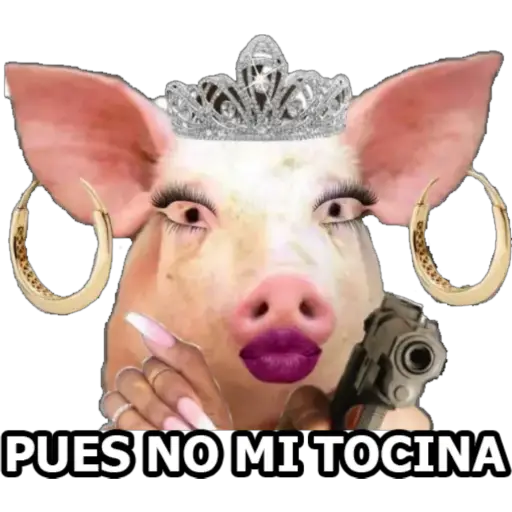 MI CIELA 