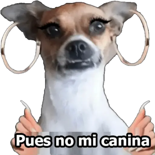 MI CIELA 