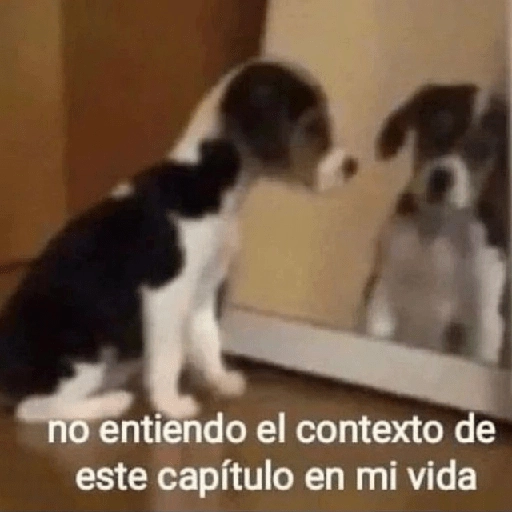 Depresión Shitposting 😭🤧 