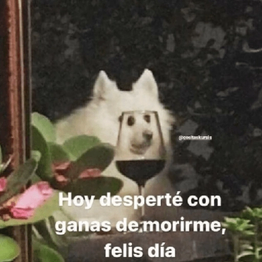 Depresión Shitposting 😭🤧 