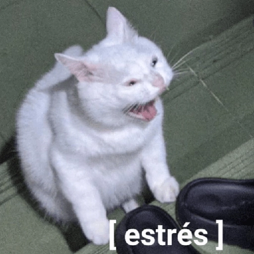 Depresión Shitposting 😭🤧  preview