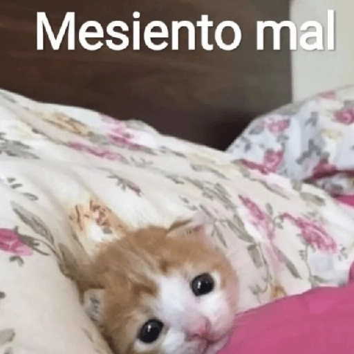 Depresión Shitposting 😭🤧 