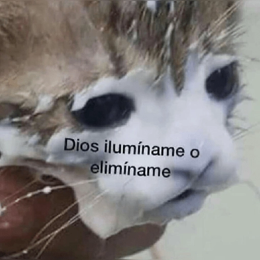 Depresión Shitposting 😭🤧 