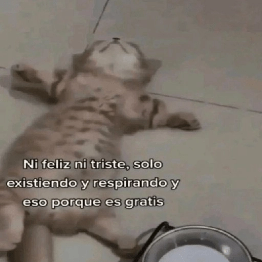 Depresión Shitposting 😭🤧 