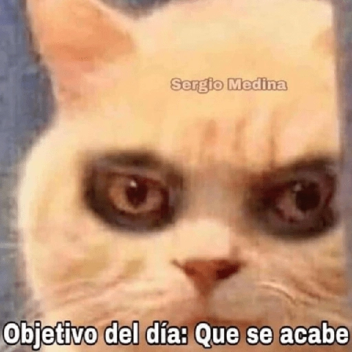 Depresión Shitposting 😭🤧 