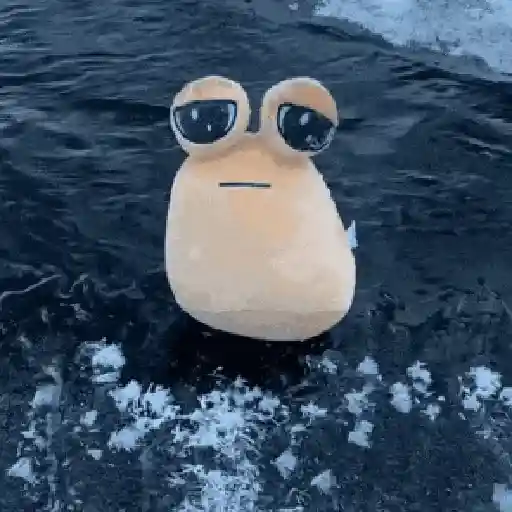 🤎Pou Triste🥺🤎