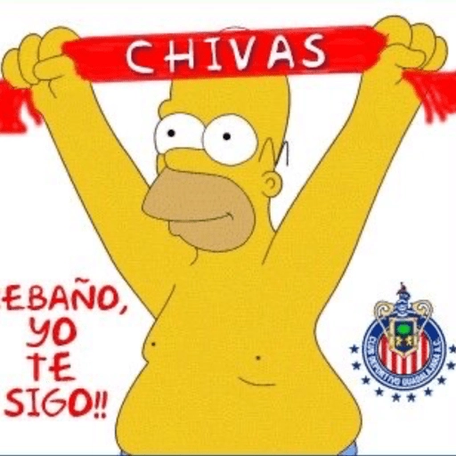 Chivas⚽️🥅 