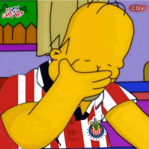 Chivas⚽️🥅 