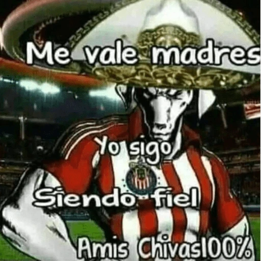 Chivas⚽️🥅 