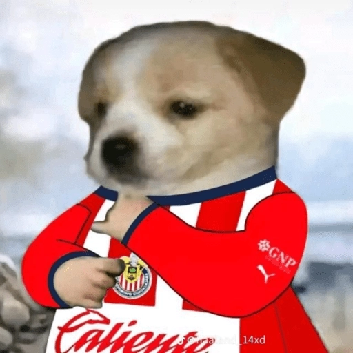 Chivas⚽️🥅 