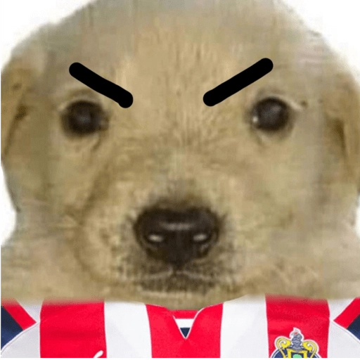 Chivas⚽️🥅 