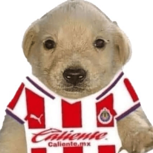 Chivas⚽️🥅 