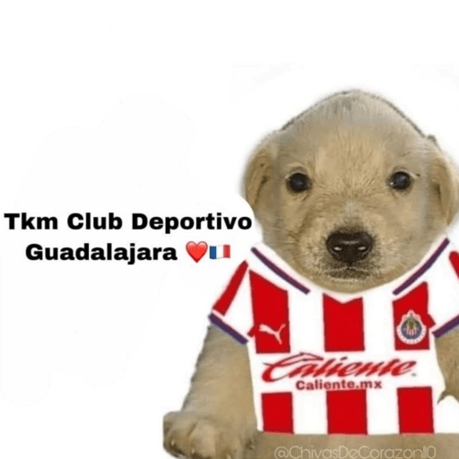Chivas⚽️🥅 