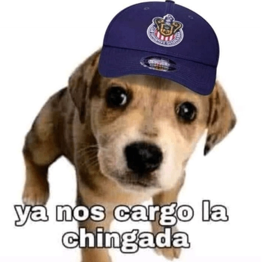 Chivas⚽️🥅 
