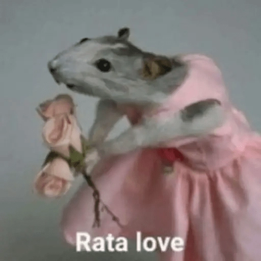 Ratitas🐁🐭🩶 