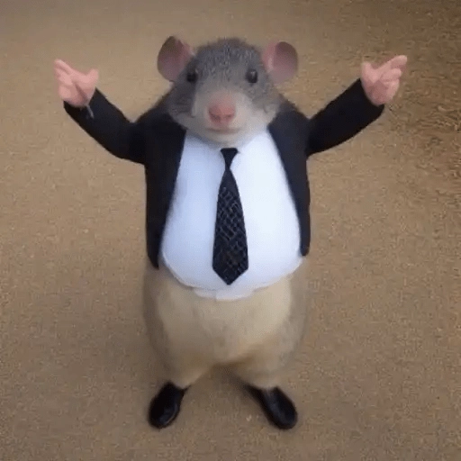 Ratitas🐁🐭🩶 