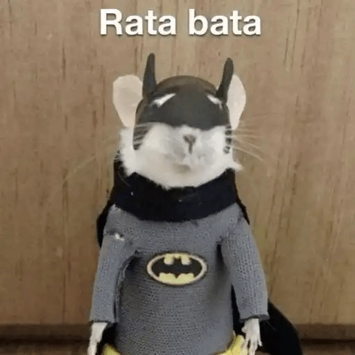 Ratitas🐁🐭🩶 