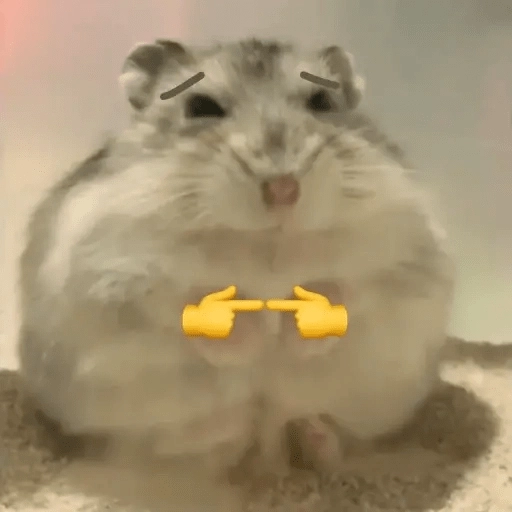 Ratitas🐁🐭🩶 