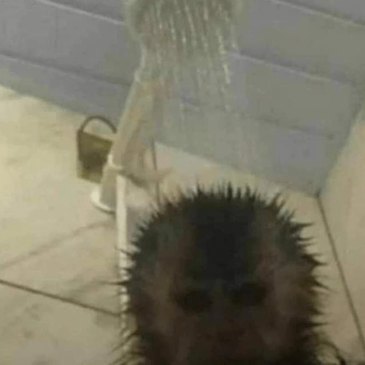 🤎🐵Monitos randoms🐵🤎  preview