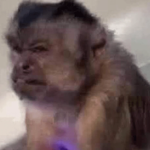 🤎🐵Monitos randoms🐵🤎 