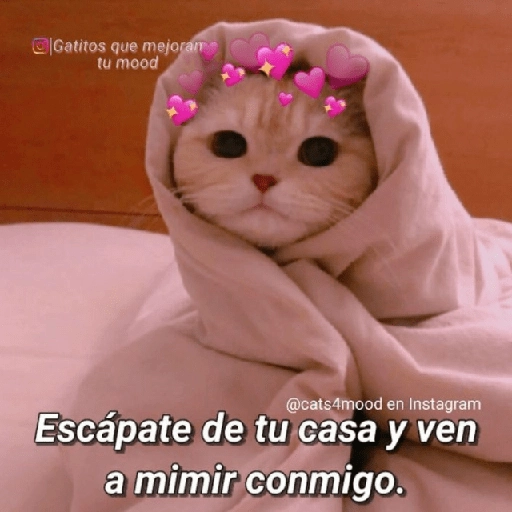 Hora de dormir 😴🌆🌙 