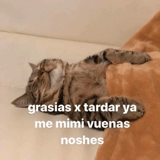 Hora de dormir 😴🌆🌙 