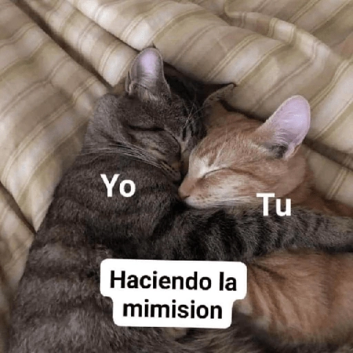 Hora de dormir 😴🌆🌙 