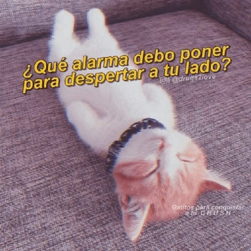 Hora de dormir 😴🌆🌙 