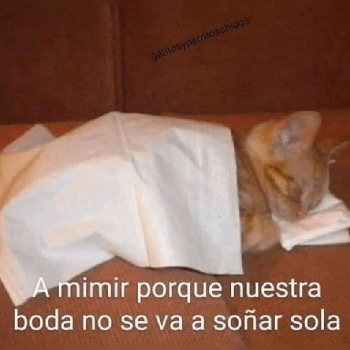 Hora de dormir 😴🌆🌙 