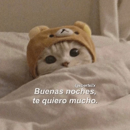 Hora de dormir 😴🌆🌙 