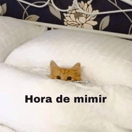 Hora de dormir 😴🌆🌙 