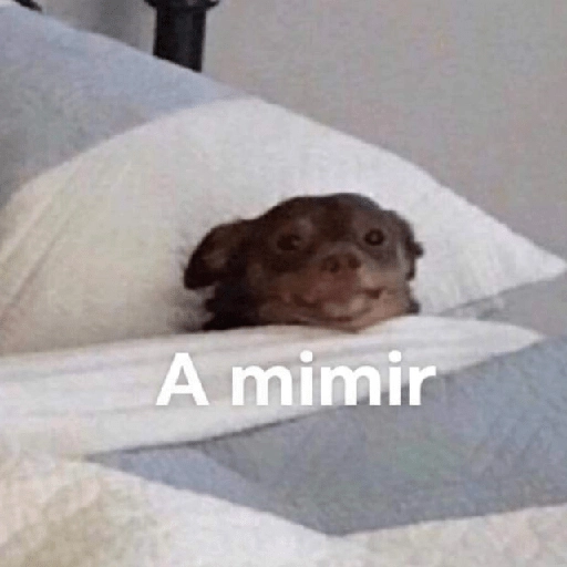 Hora de dormir 😴🌆🌙 