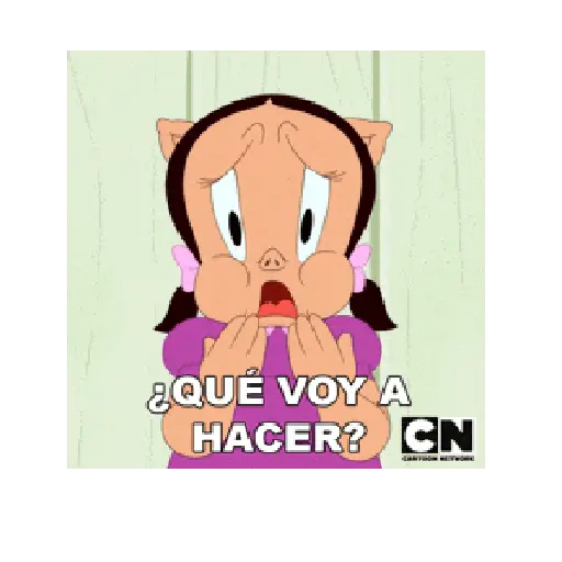 Y ahora como van a hacer ✨  preview