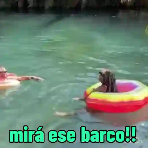 Responde Así vale 🤣😂 