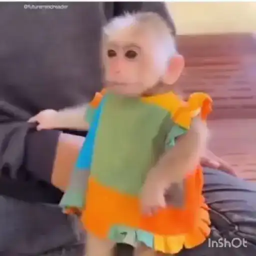 Responde Así vale 🤣😂 
