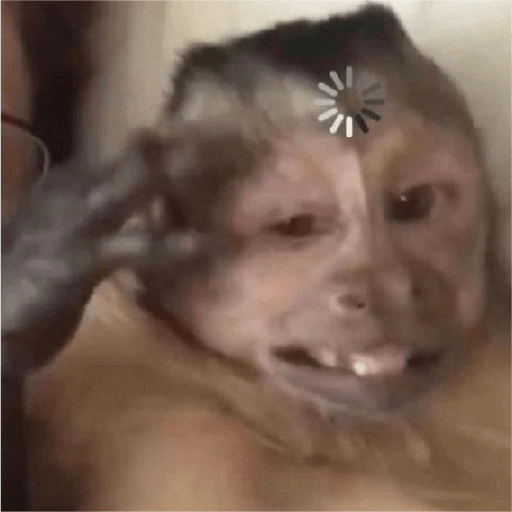 monkeys  preview