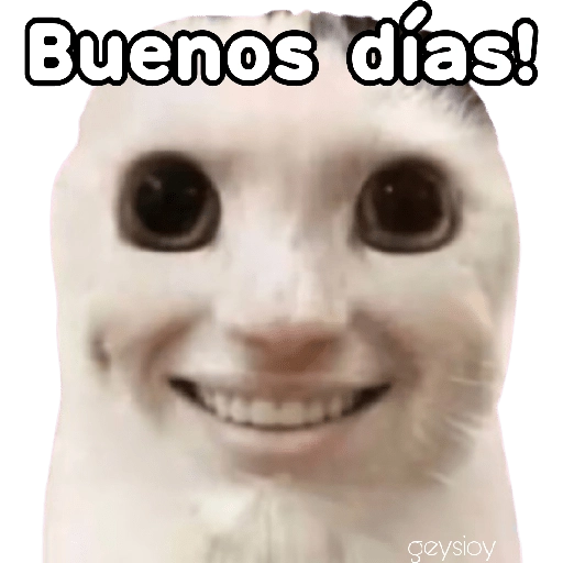 😸Gatos sin orejas 🐈 