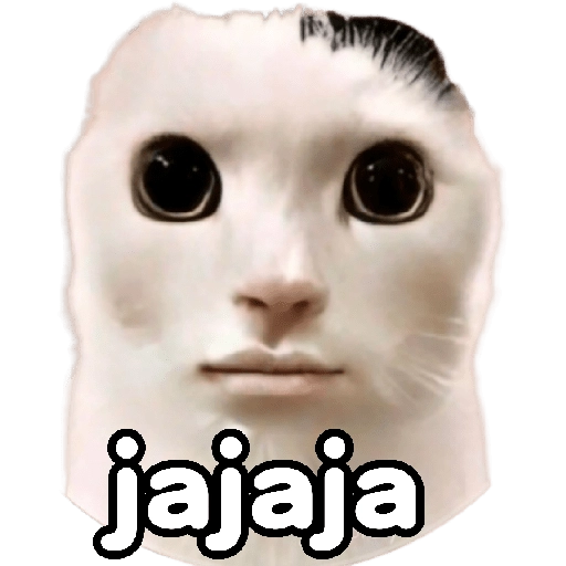 😸Gatos sin orejas 🐈 