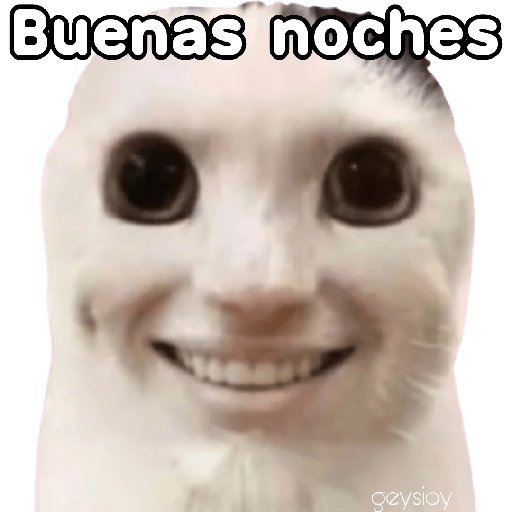 😸Gatos sin orejas 🐈 