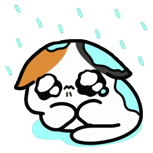 Lluvia☔️🌧️ 