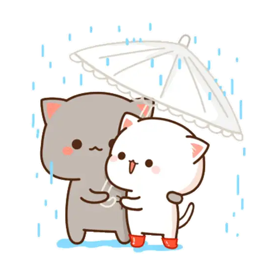 Lluvia☔️🌧️ 