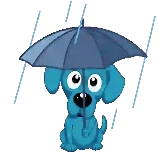 Lluvia☔️🌧️ 