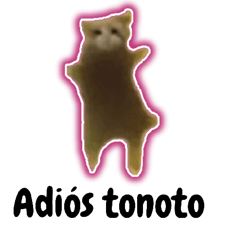 Tonotos Frases😺😜✨✨ 