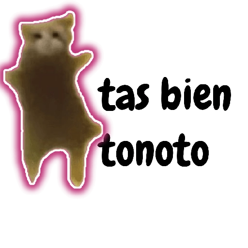 Tonotos Frases😺😜✨✨ 