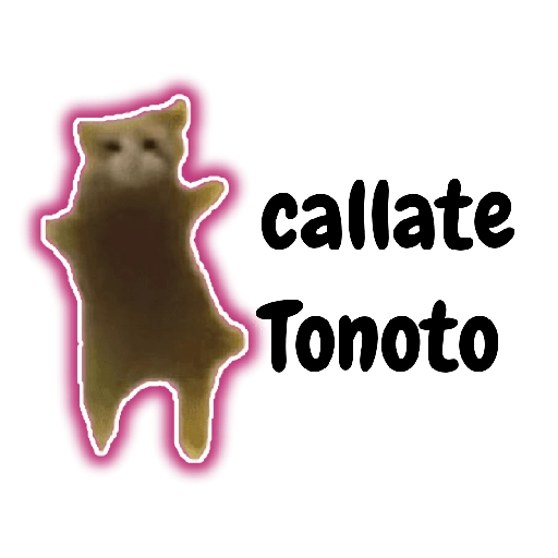 Tonotos Frases😺😜✨✨ 